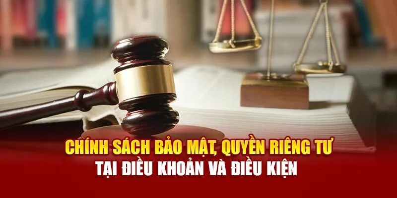 Các điều khoản được nhóm rõ ràng giúp người chơi dễ tra cứu và nắm bắt.