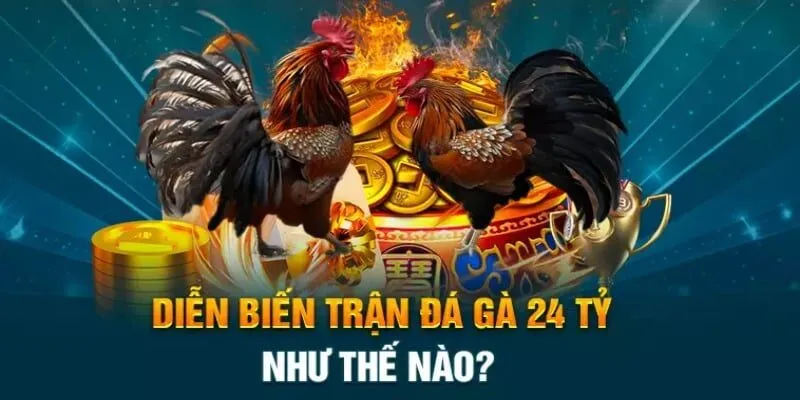 Đôi nét sơ lược về trận gà 24 tỷ