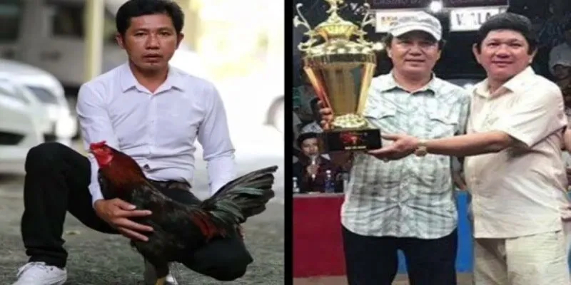Khám phá về diễn viết và kết quả của trận gà 24 tỷ